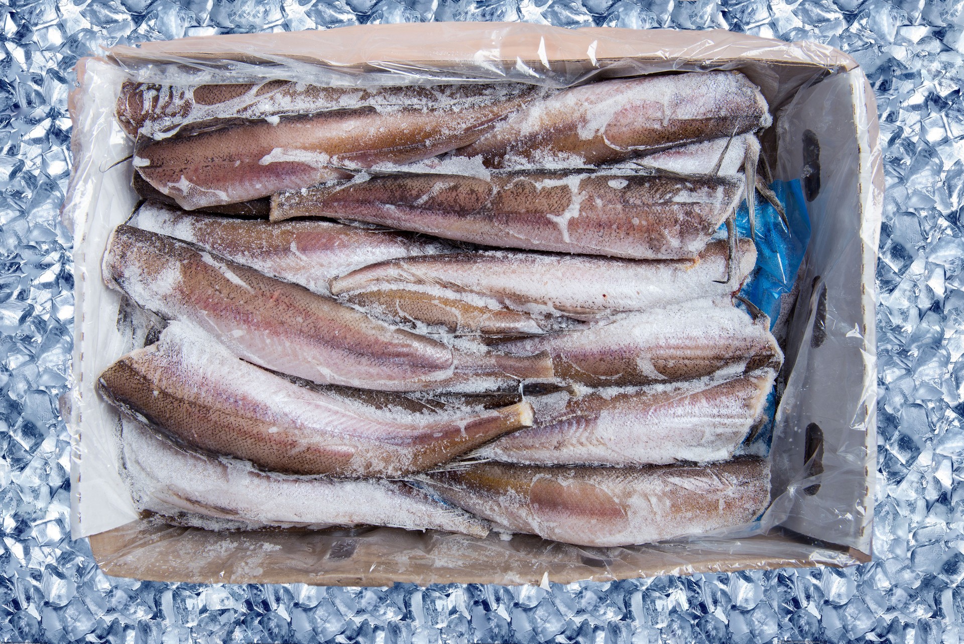 Boîte avec poisson surgelé